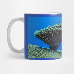 tiny reef fish on the small top coral which is on the big coral top Mug